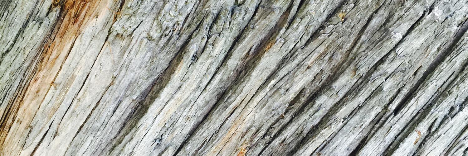 jwoodwi's profile banner image