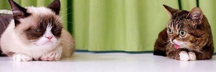 ThePeej3RD's profile banner image