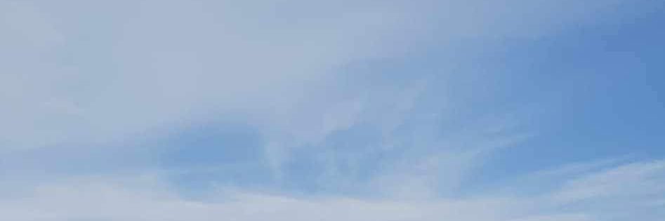 🌺 banner