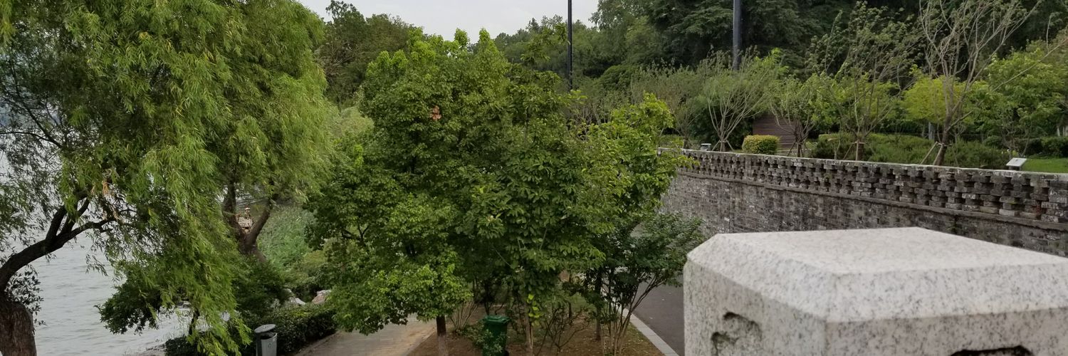 Qihz_H's profile banner image