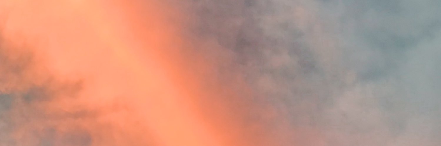 loiseeel's profile banner image