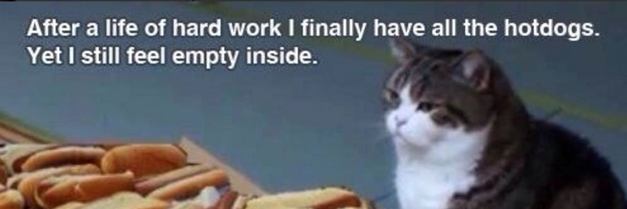 Amy D. (on Bluesky) banner