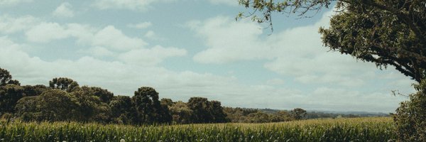 Kameshcodes Profile Banner