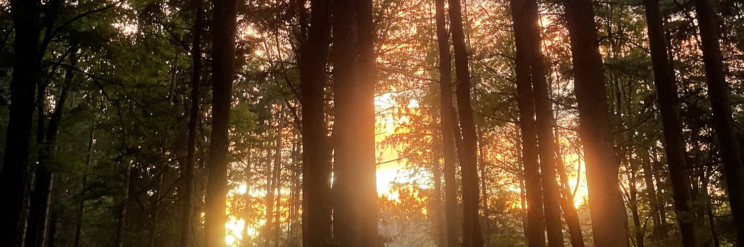 Erv_111's profile banner image