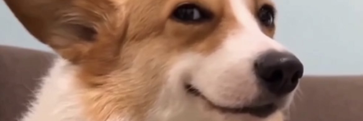 jackddniels's profile banner image