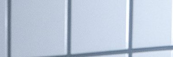 Sssccarlett Profile Banner