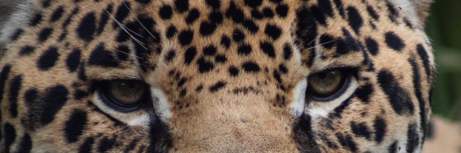 roe2505's profile banner image