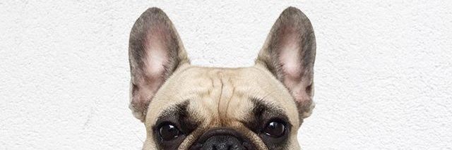 AskDay1's profile banner image