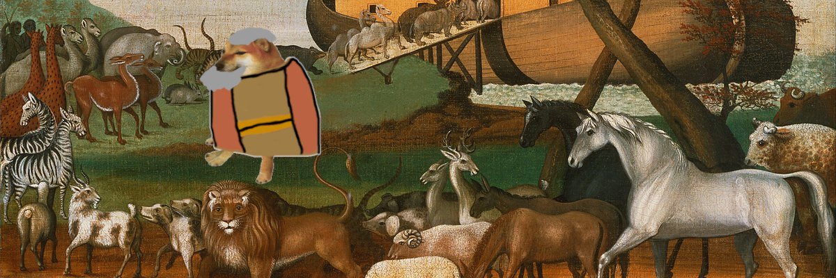 Społ Doge 🇵🇱🇻🇦🇲🇫🇬🇪🇹🇼 banner