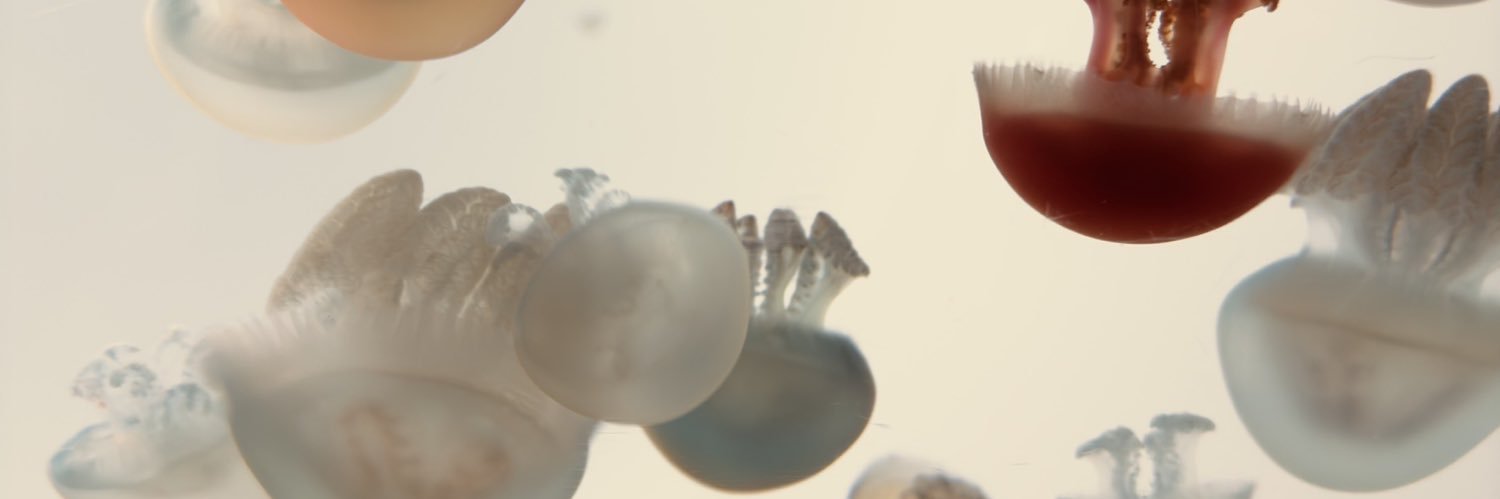 （yummy） banner