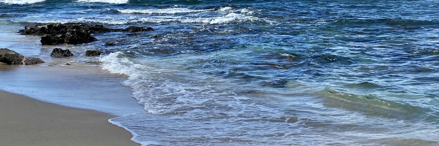 loribachand's profile banner image