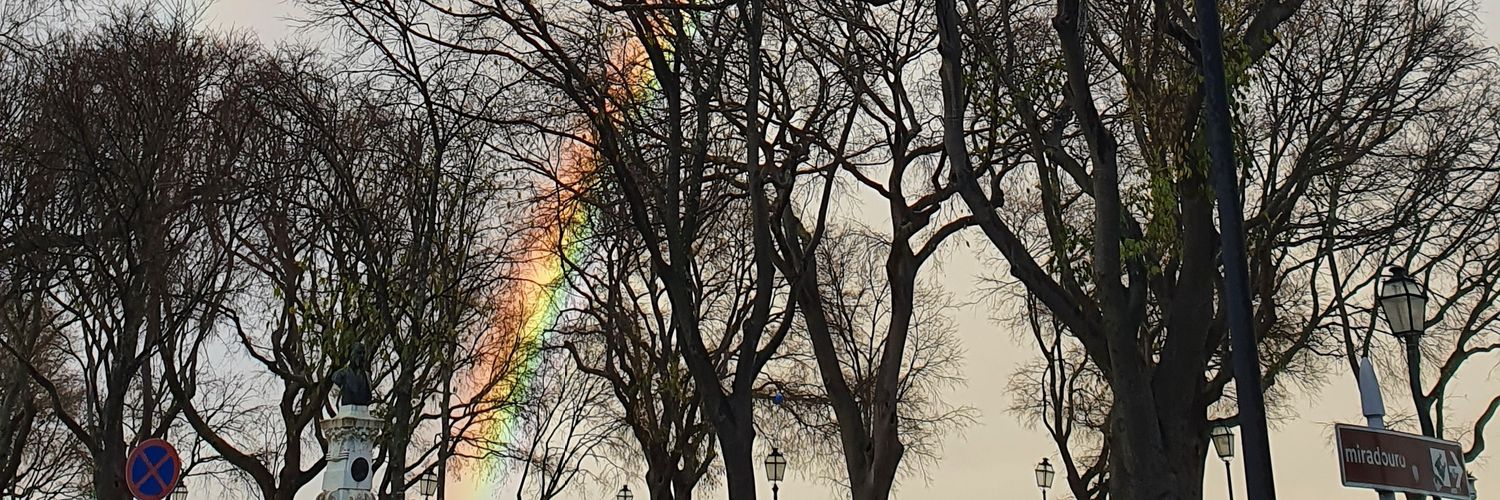RiBaptista97's profile banner image