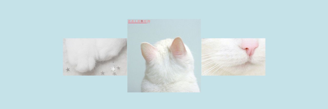 ลินนี่ ❄️ (rest) banner