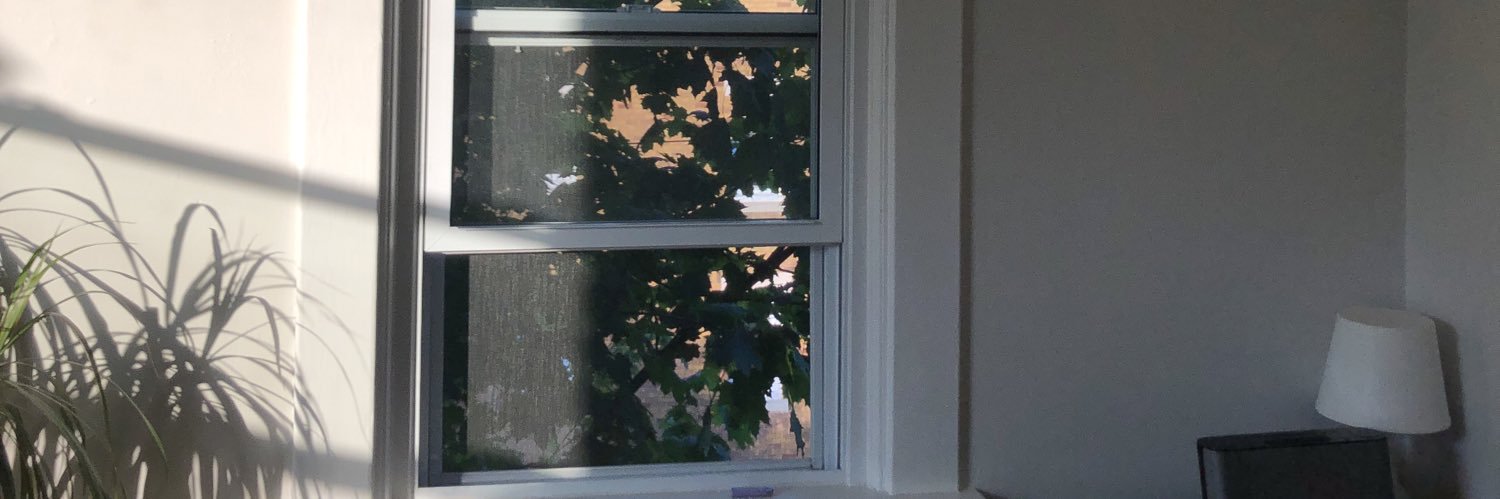 _maddydavies's profile banner image