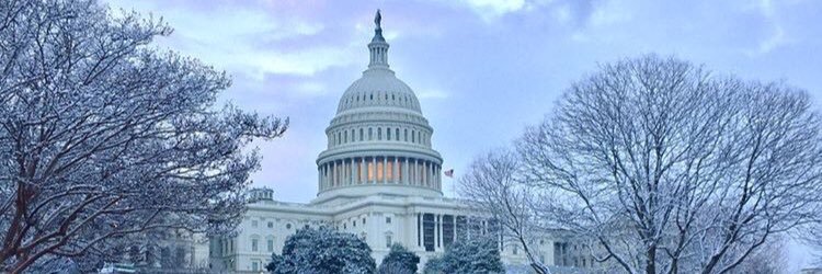 Brandon Altmann banner