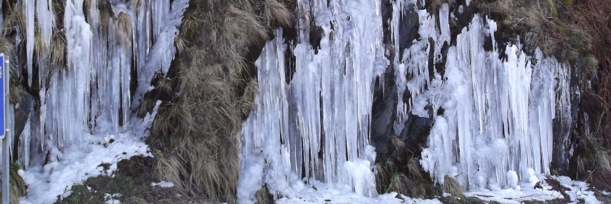 Marion McLean 🇺🇦 banner