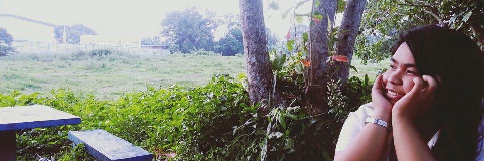 neilsenSC's profile banner image