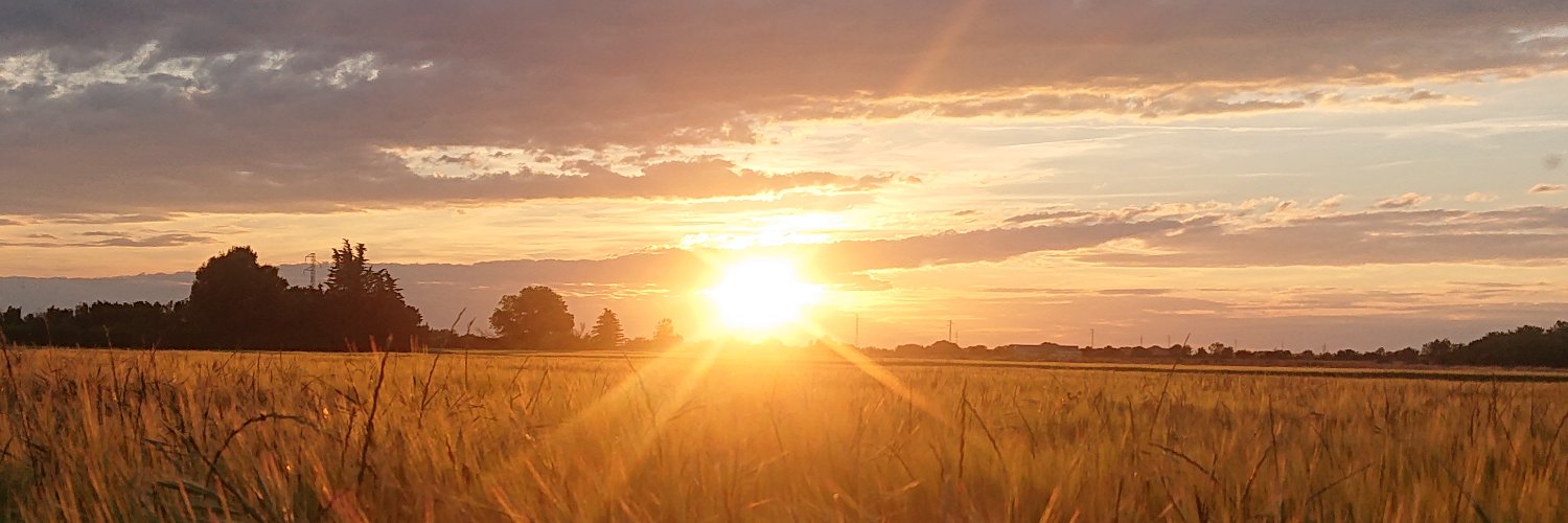 TakerSP's profile banner image