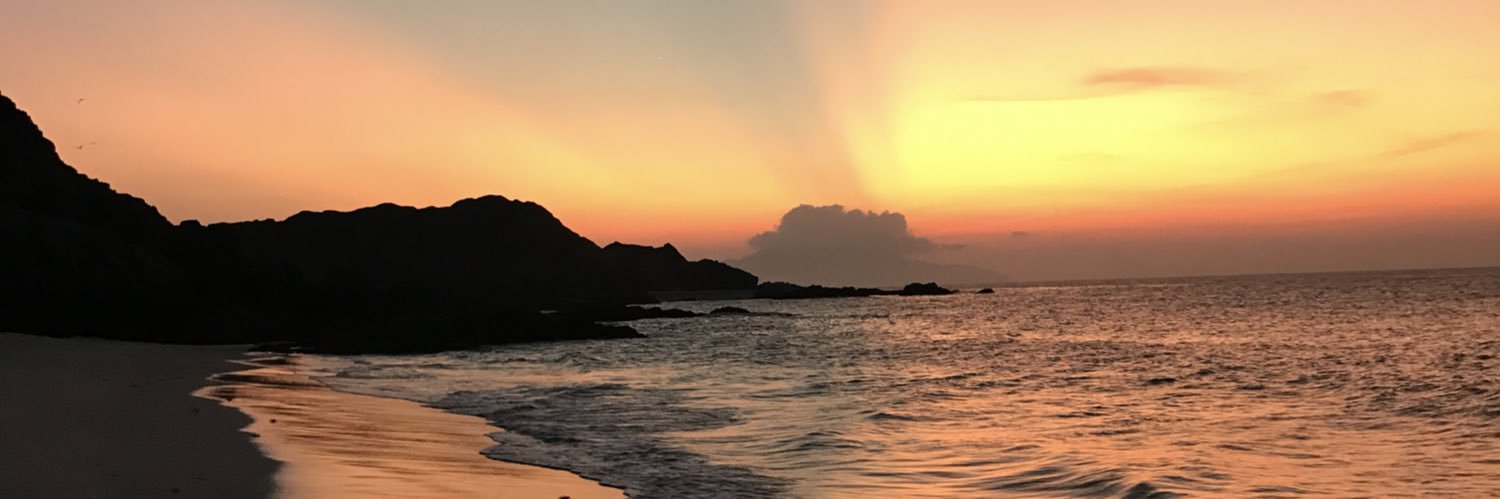 faisalalsulims's profile banner image