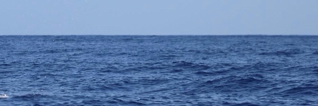iShe5_'s profile banner image