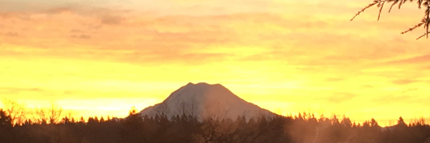 pleneras's profile banner image