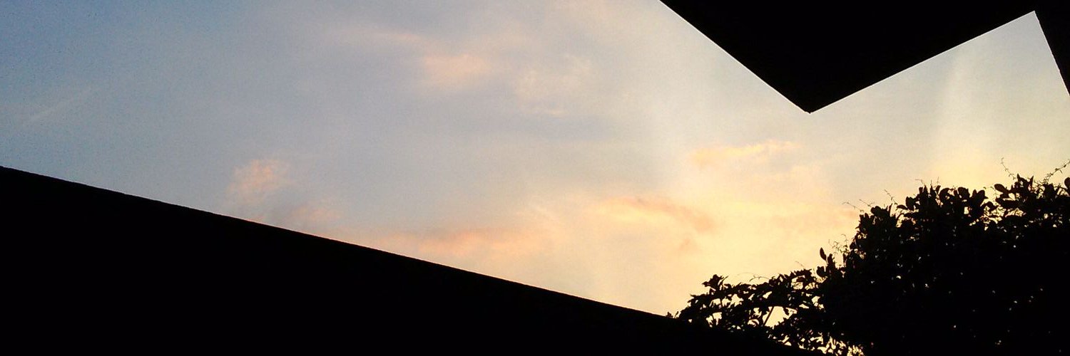 tanghayha's profile banner image