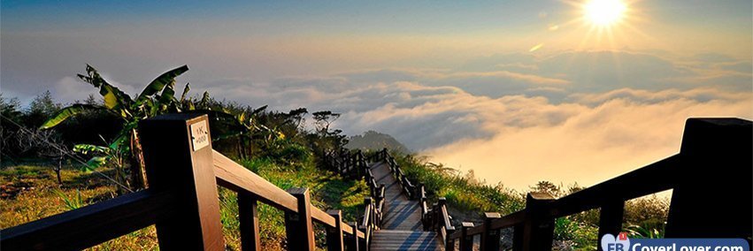 Alice Beatriz banner