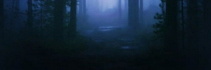 bingo #0 guth stan banner