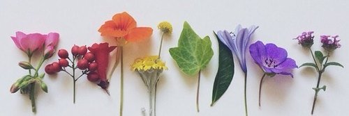 PerLoJewelry's profile banner image