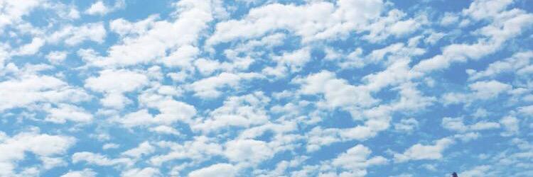 EricaMostovoy's profile banner image