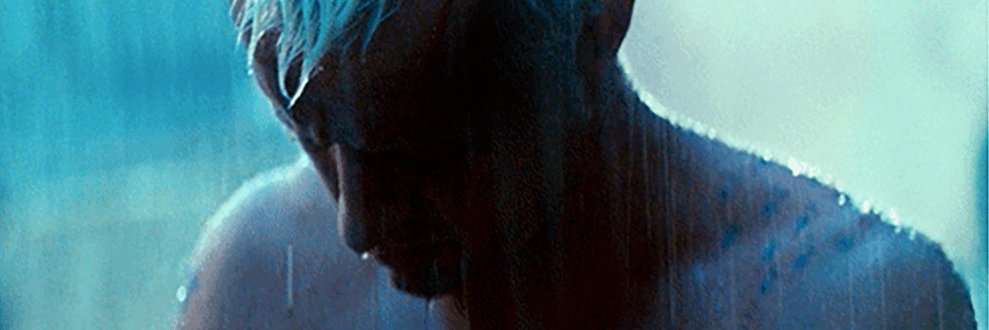 dingus_X's profile banner image