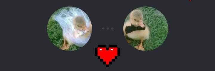 mllbm's profile banner image