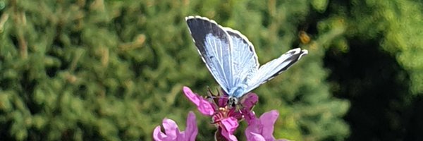 JanvDes Profile Banner