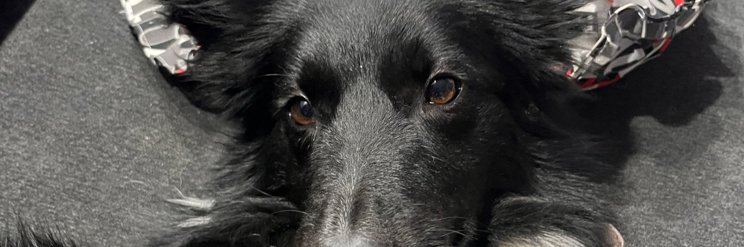 CeeciAgullo's profile banner image