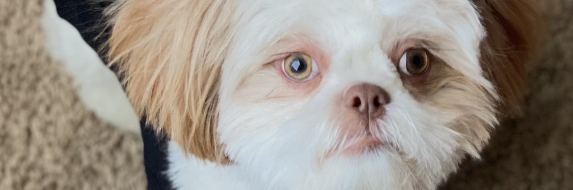 __Timberlee's profile banner image