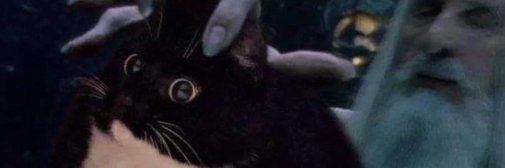 ZackariasRTK's profile banner image