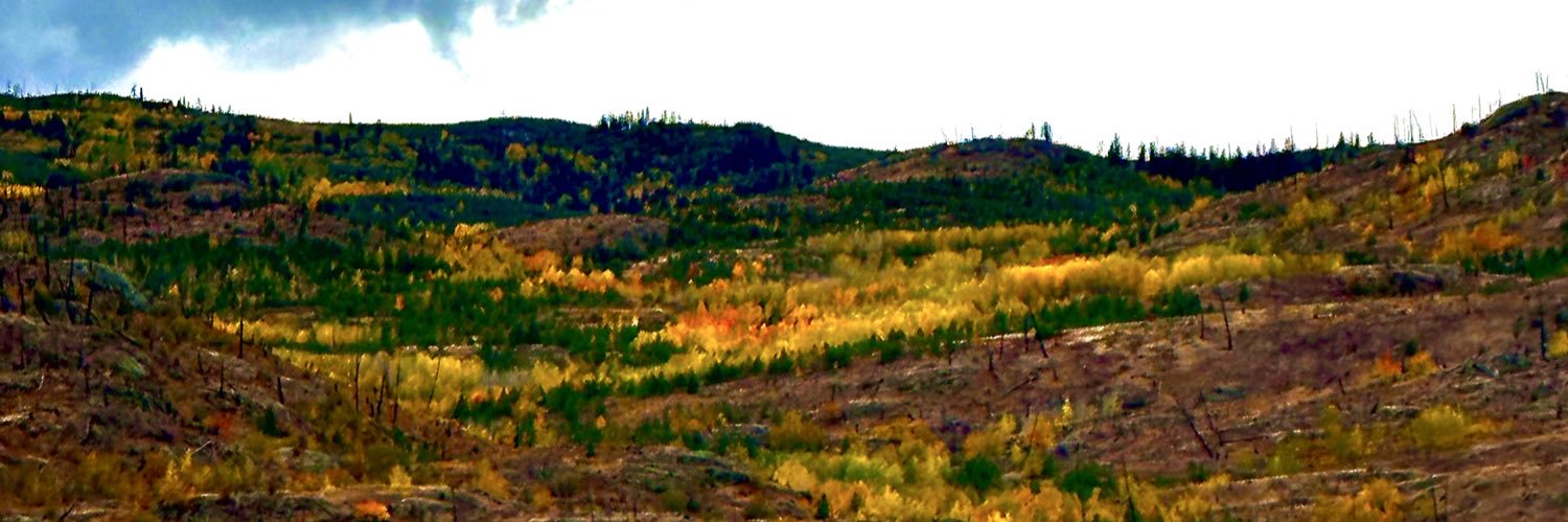 tee959677's profile banner image