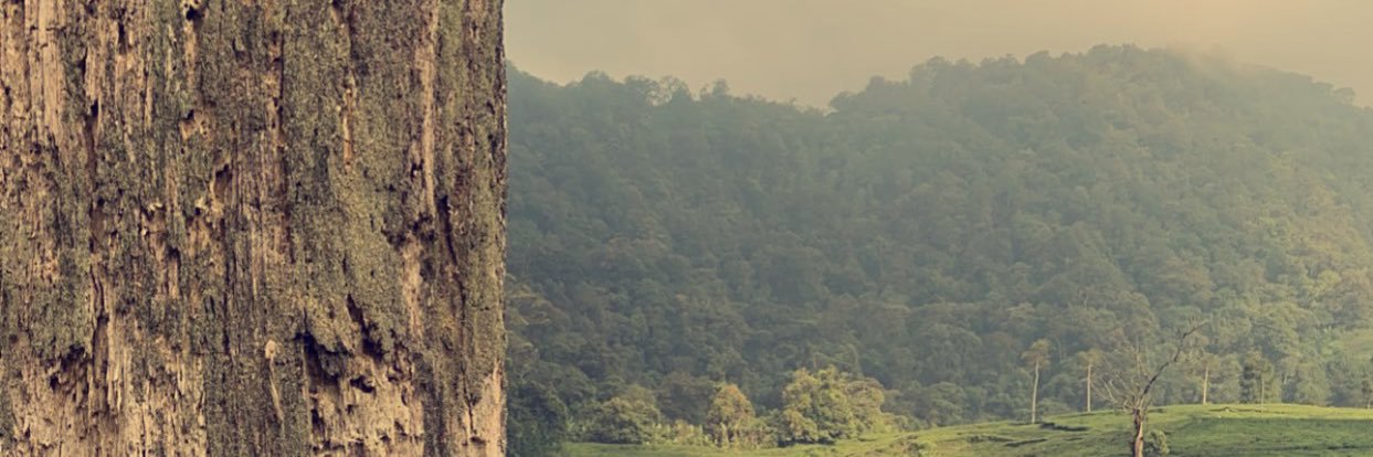 بدر banner