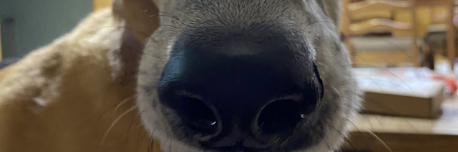 charolette_w's profile banner image