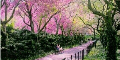 zoooooze45's profile banner image