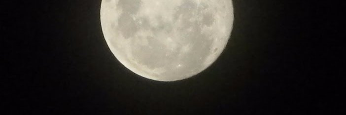 pildusky's profile banner image