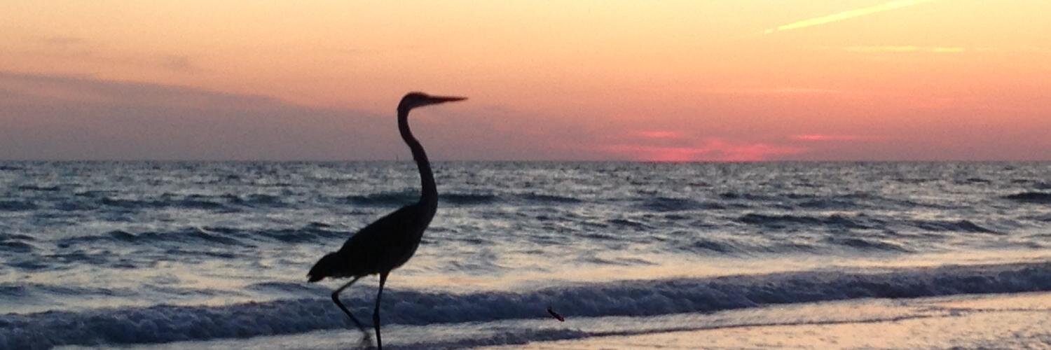 eman21's profile banner image