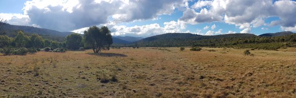 ndebono12 Profile Banner