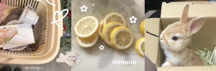 𓍯 ִֶָ ⭐️ | 1K !! banner