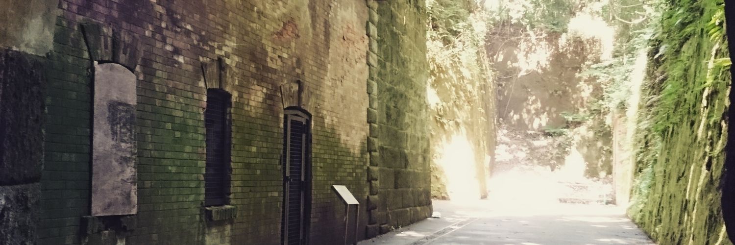 CONTENUTO120's profile banner image