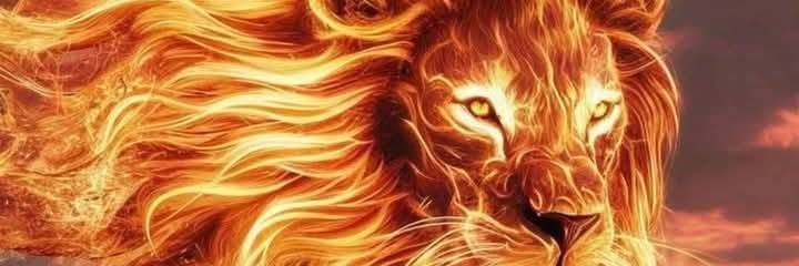 bearded_vandal's profile banner image
