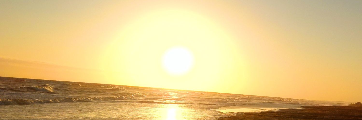 leanmarziali's profile banner image