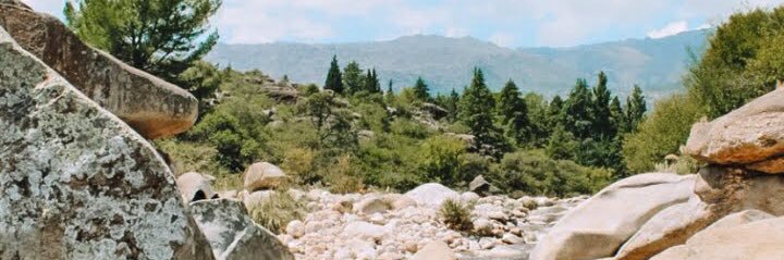 julikonig's profile banner image