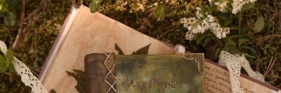vvcAfa_'s profile banner image