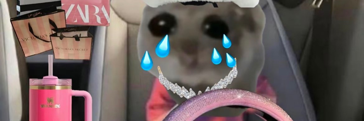 HaticeOkty's profile banner image